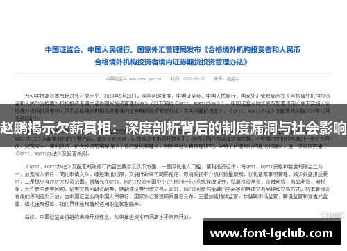 赵鹏揭示欠薪真相：深度剖析背后的制度漏洞与社会影响
