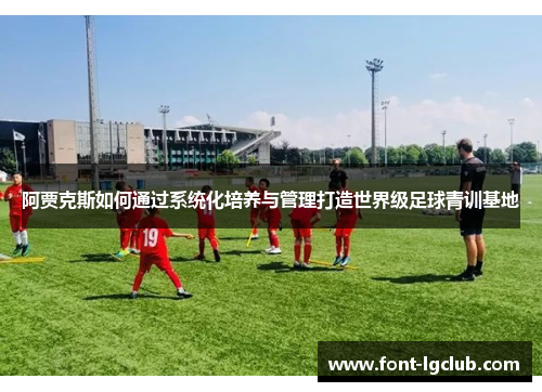 阿贾克斯如何通过系统化培养与管理打造世界级足球青训基地