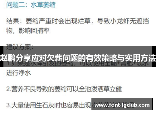 赵鹏分享应对欠薪问题的有效策略与实用方法 赵鹏分享应对欠薪问题的有效策略与实用方法