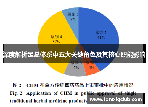 深度解析足总体系中五大关键角色及其核心职能影响