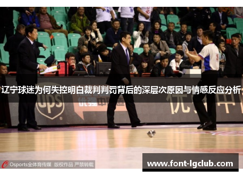 辽宁球迷为何失控明白裁判判罚背后的深层次原因与情感反应分析