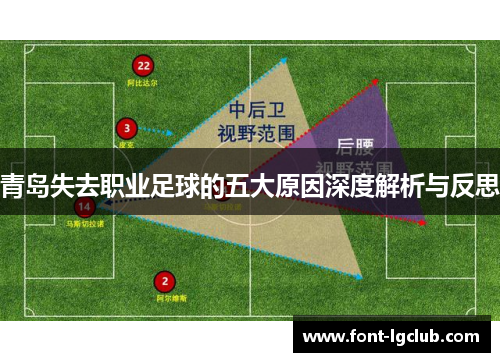 青岛失去职业足球的五大原因深度解析与反思