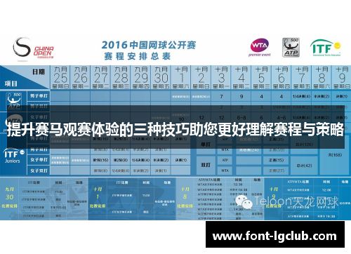 提升赛马观赛体验的三种技巧助您更好理解赛程与策略