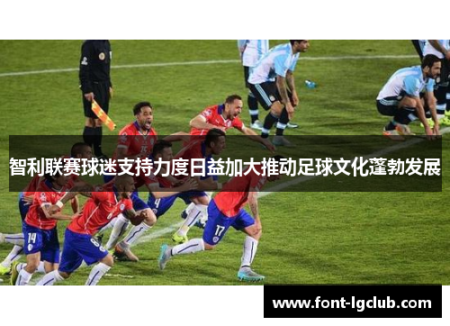 智利联赛球迷支持力度日益加大推动足球文化蓬勃发展