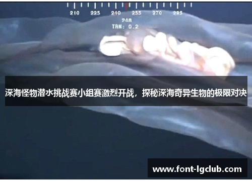 深海怪物潜水挑战赛小组赛激烈开战，探秘深海奇异生物的极限对决